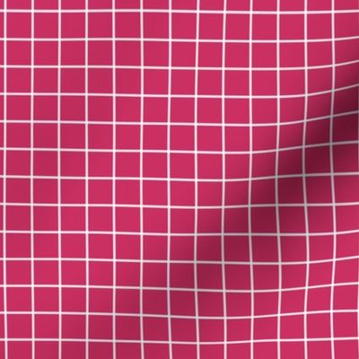 Grid Pattern - Raspberry and White