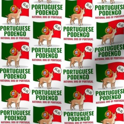 Portuguese Podengo Small White