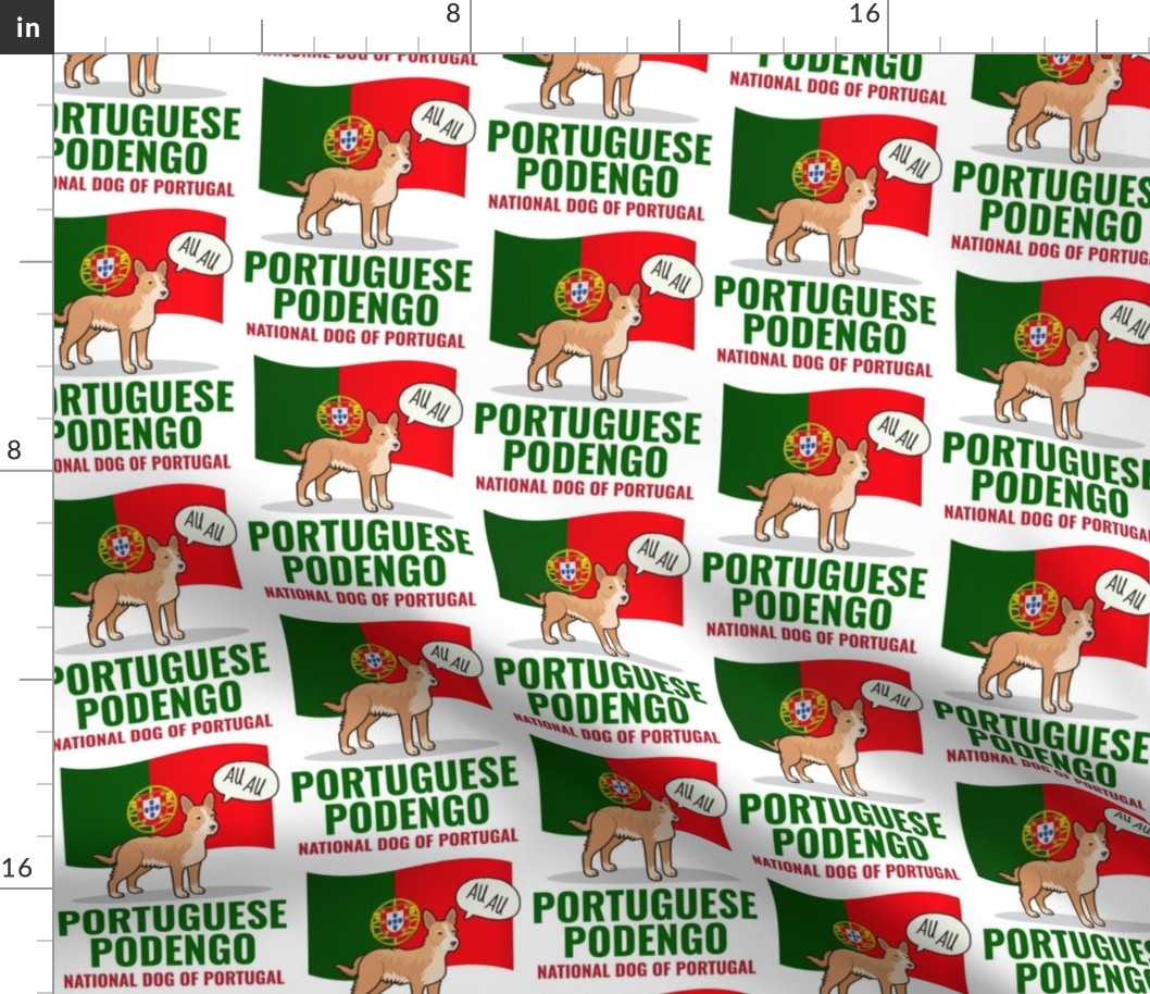 Portuguese Podengo Medium White