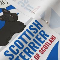 Scottish Terrier Medium on White