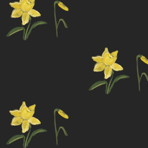 Spring_Daffodils_