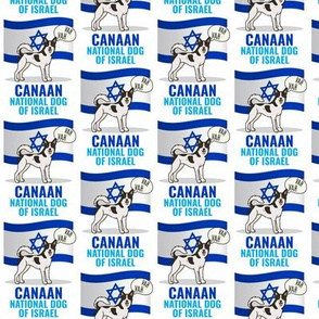 Canaan Israel Flag Small White