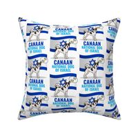 Canaan Dog Israel Flag Medium White