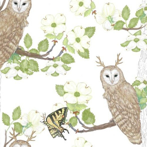 Antlers On Owls And Butterflies