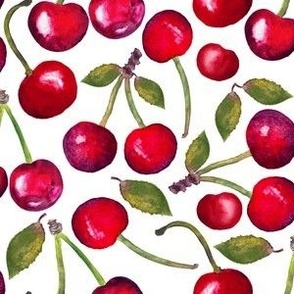 Bright Red Cherries Watercolor on White