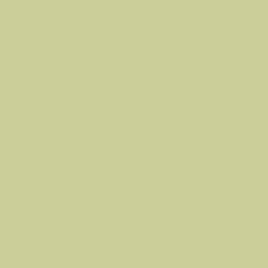Grayish olive green solid | #cbce99
