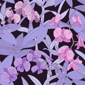 Purple and Pink Orchids on Wine background M