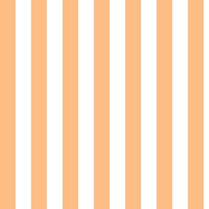 Orange Sherbet Awning Stripe Pattern Vertical in White