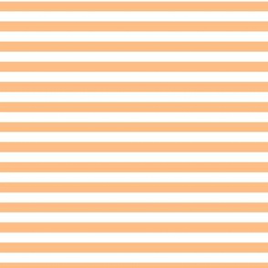 Orange Sherbet Bengal Stripe Pattern Horizontal in White