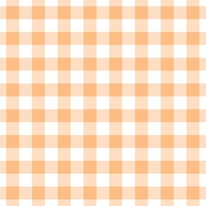 Gingham Pattern - Orange Sherbet and White
