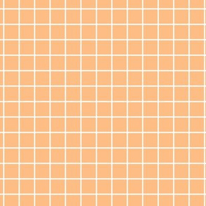Grid Pattern - Orange Sherbet and White