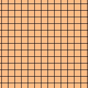 Grid Pattern - Orange Sherbet and Black