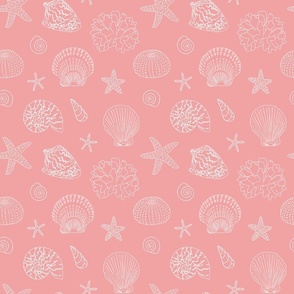 Sea shells, sea-urchins, starfishes, corals on pink