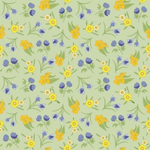 Blue and yellow wildflowers on a light green background