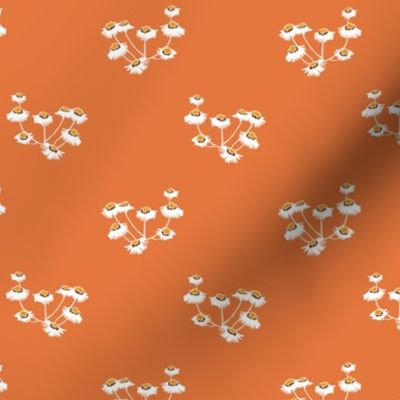 Mod Chintz - Orange