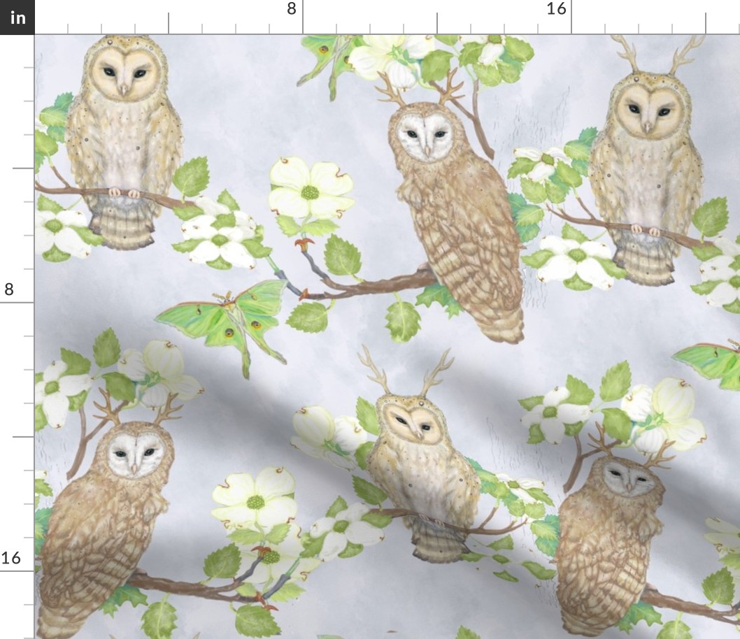 Magical Fairy Owls with Antlers On Gray