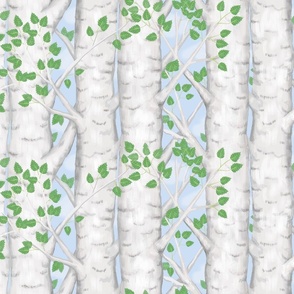 Woodland Birch Trees With Leaves