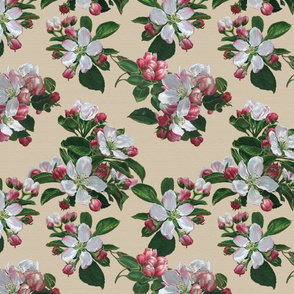 Apple Blossoms on Soft Beige