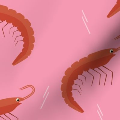 Shrimps on pink