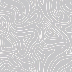 Topographic map pattern