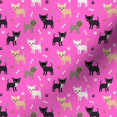 Chihuahua Dogs Rose Pink
