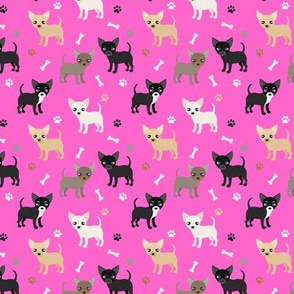 Chihuahua Dogs Rose Pink