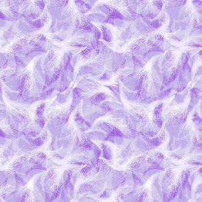 milkweed_orchid_purple_spray