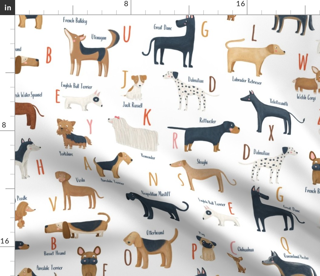 Dogs alphabet breeds Dalmatian Small scale