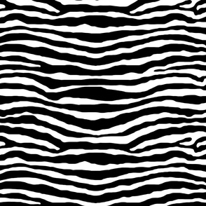 zebra stripe black and white