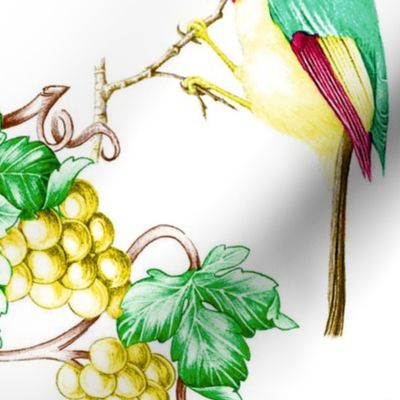 Bird and bunch of grapes.
