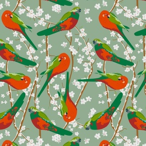 King Parrot Birds / Sage Green / Large