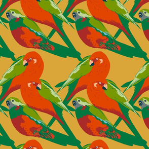 king parrots on mustard (large scale)