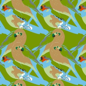 King Parrot Birds / Green / Large