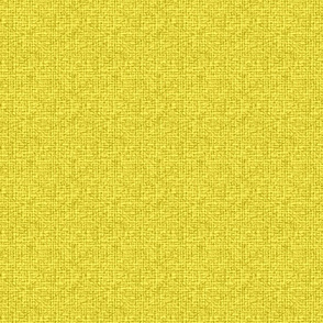 Lunaria background mustard