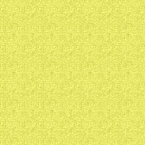 Lunaria background yellow