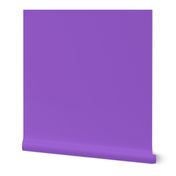 Color Map v2.1 Q10 #9061C9 - Very Violet