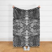 zebra hide black and white