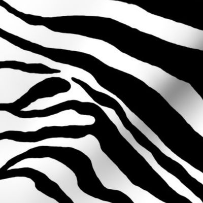 zebra hide black and white