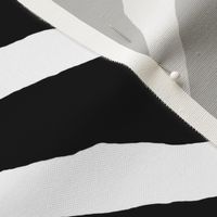 zebra hide black and white