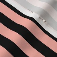 Light Coral Awning Stripe Pattern Vertical in Black