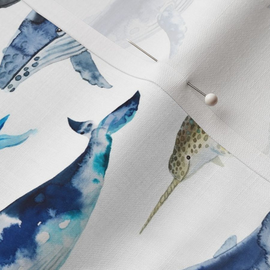 watercolor whales