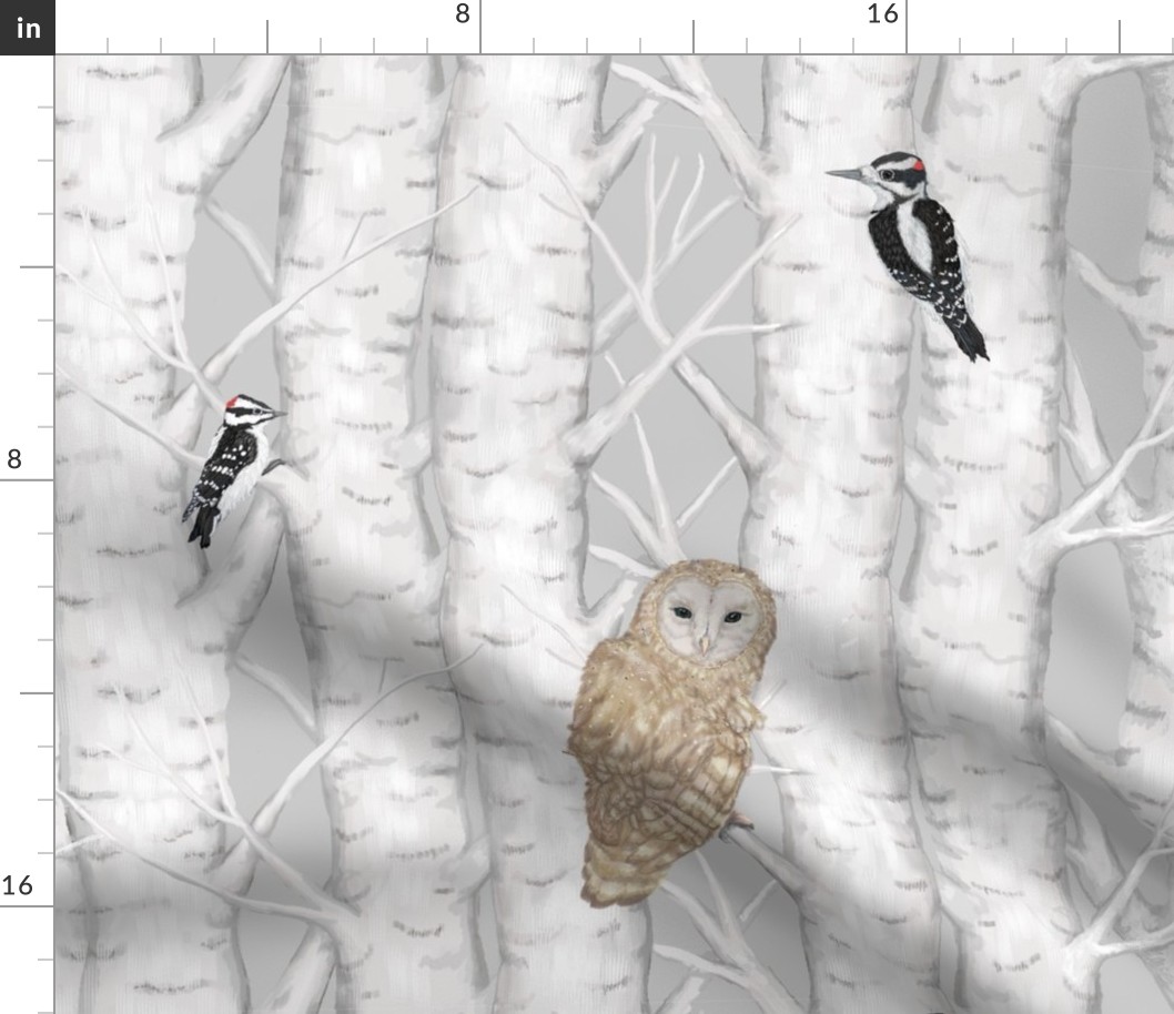 Owls And Woodpeckers In Birch Tree Forest