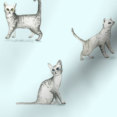 Kitty Cat - Pattern