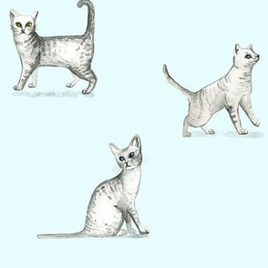 Kitty Cat - Pattern
