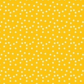 Dots in Sunny-1.1x1.1