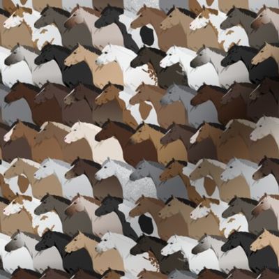 Horse & Pony Coat Colors Pattern