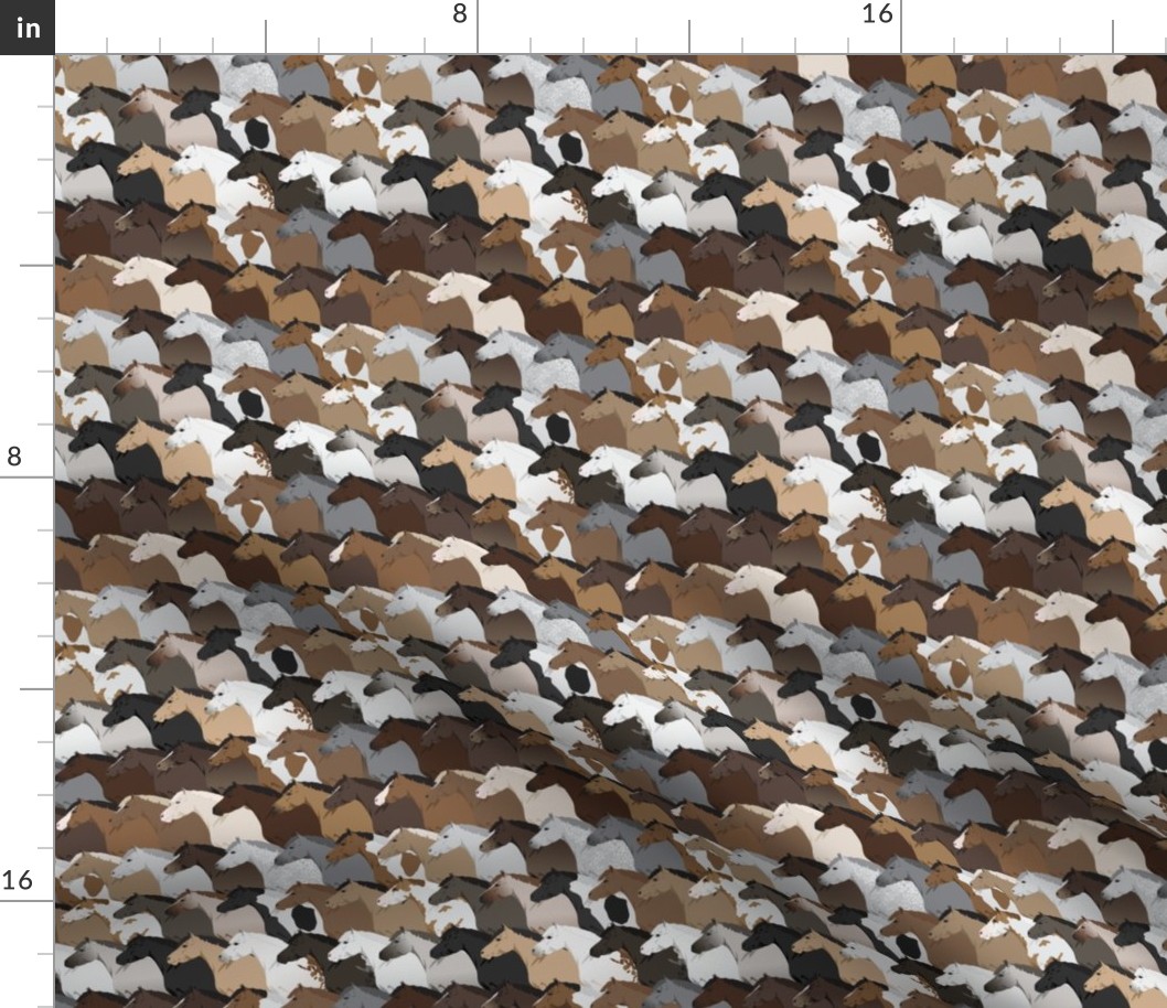 Horse & Pony Coat Colors Pattern