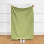 Solid Pear Green Color - From the Official Spoonflower Colormap