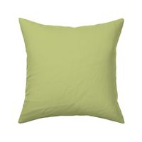 Solid Pear Green Color - From the Official Spoonflower Colormap