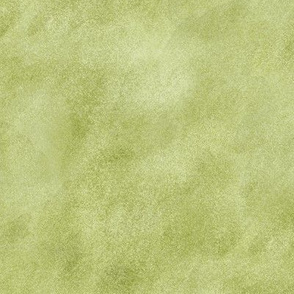 Watercolor Texture - Pear Green Color